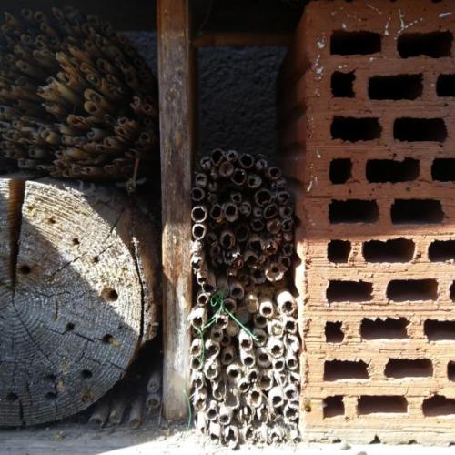 das_naturbelassene_bienenrevier