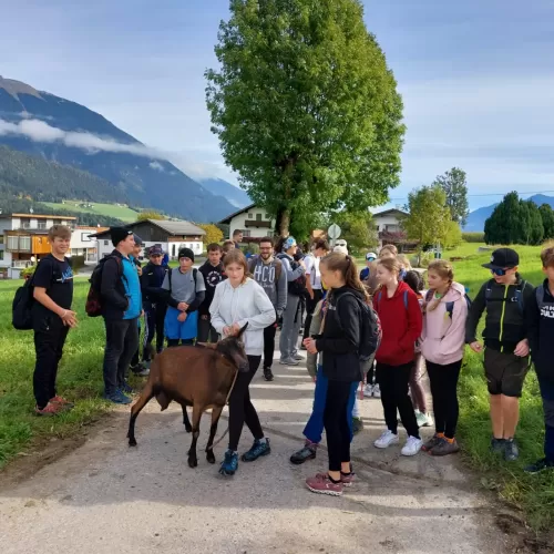 Unsere Schülerin holt beim elterlichen Bauernhof die Geiß raus