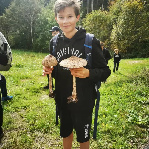 Levi hat im Wald sein Abendessen gefunden - Es gibt wohl Pilzragout