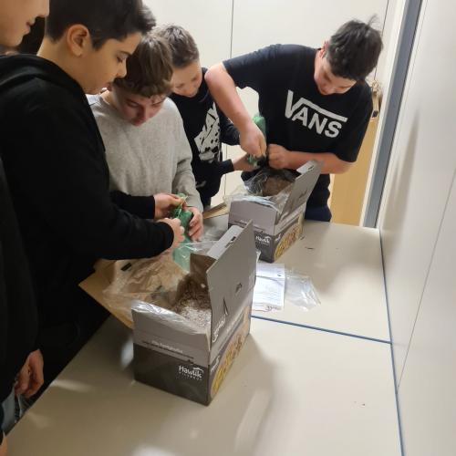SchülerInnen beim Vorbereiten der Pilzanzuchtbox