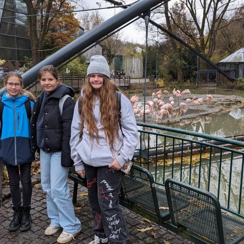 Schülerinnen im Tierpark