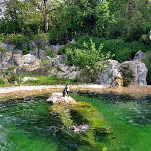 Zoo