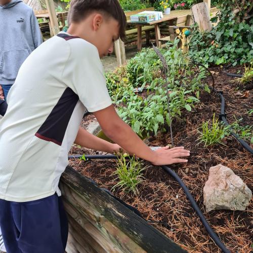 Schüler beim Verlegen und Installieren der Gardena-Bewässerungsprodukte