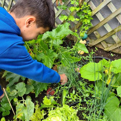 Schüler beim Verlegen und Installieren der Gardena-Bewässerungsprodukte