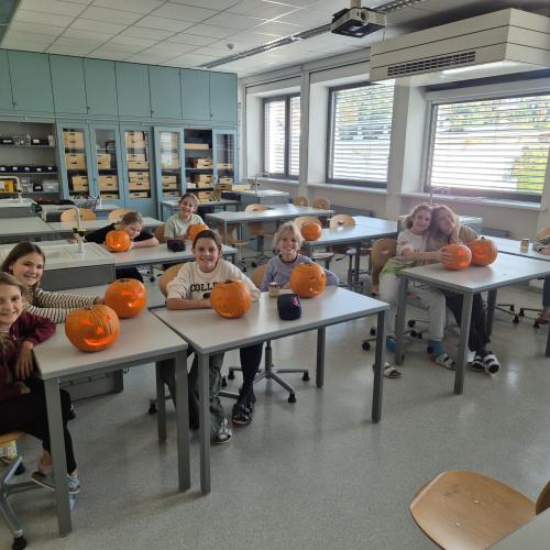 Fertige Halloweenkürbisse