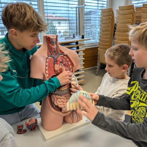 Biologie