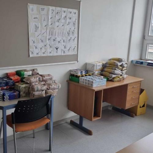 eingekaufte Lebensmittel