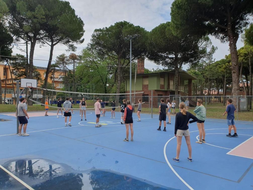 Volleyball