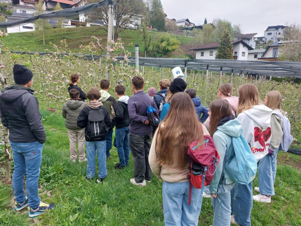 Apfelgarten